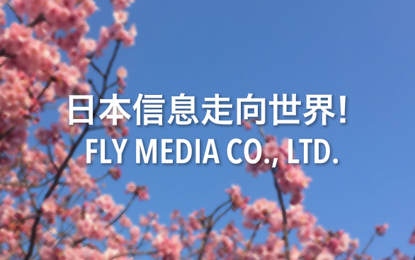 亚信息走向世界! FLY MEDIA CO.,LTD