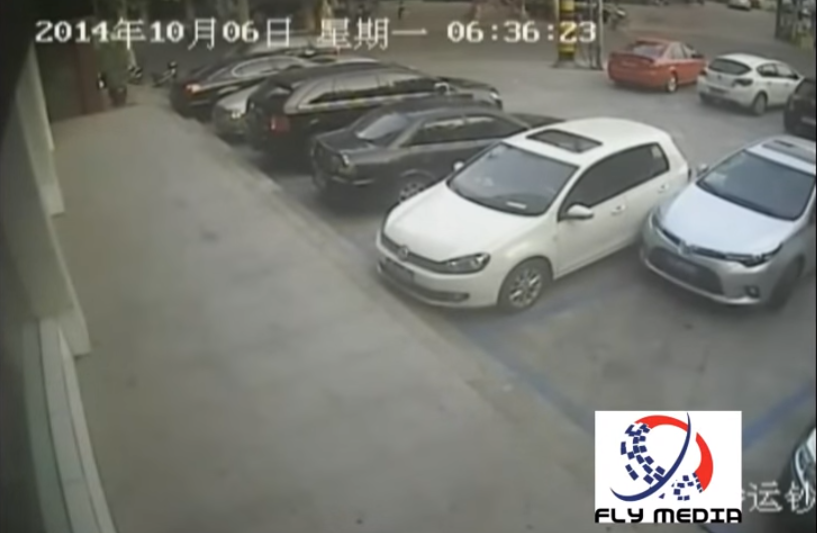 車のバックが下手すぎる男 中華圏での番組 撮影コーディネート ライブ配信 フライメディア