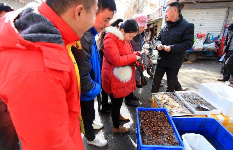セミ イナゴ カイコ 春節の市場に並ぶ高級昆虫食材 中華圏での番組 撮影コーディネート ライブ配信 フライメディア