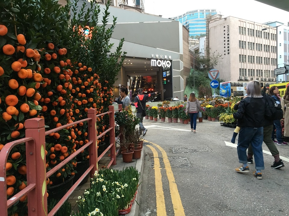 香港：旧正月前に賑わいを見せるフラワーマーケット