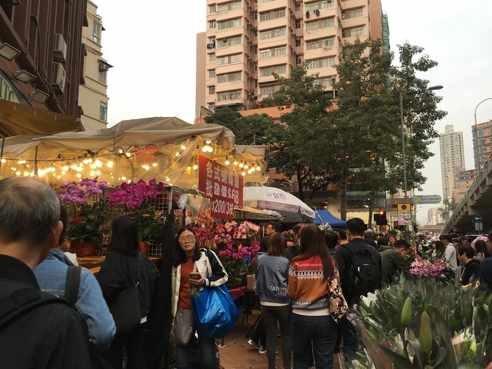 香港：旧正月前に賑わいを見せるフラワーマーケット
