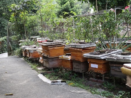 香港永和蜜蜂場