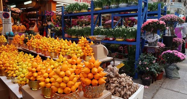 香港正月花市