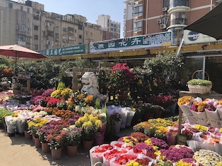 上海・花市場