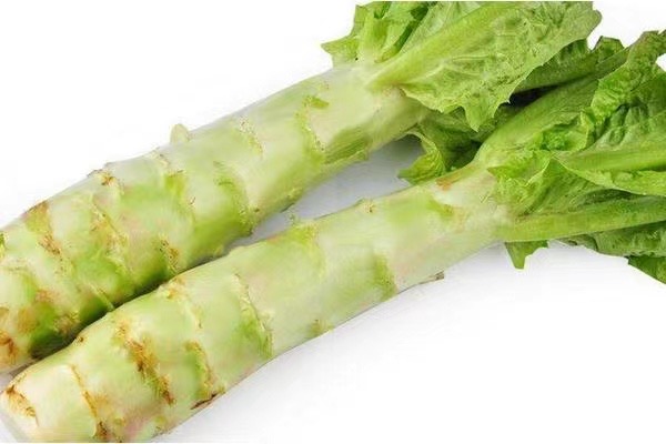 上海・中国野菜の茎レタス
