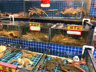 上海・店内の生簀から食材を選ぶ楽しさ