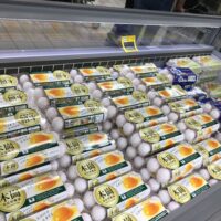 台湾でも起きている卵不足についてレポート
