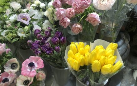 上海・花市場で春の花さがし