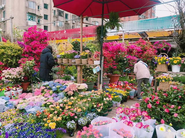 上海・市民が通う花市場