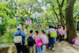上海動物園・パンダ館